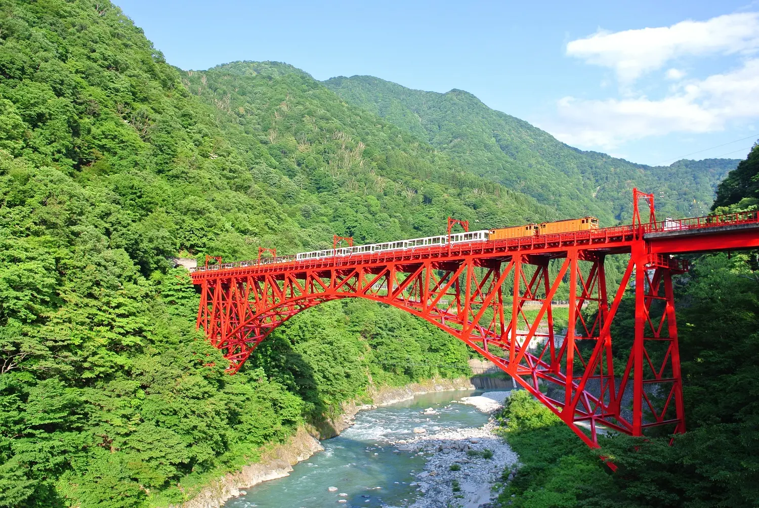 新緑の中を行くトロッコ電車