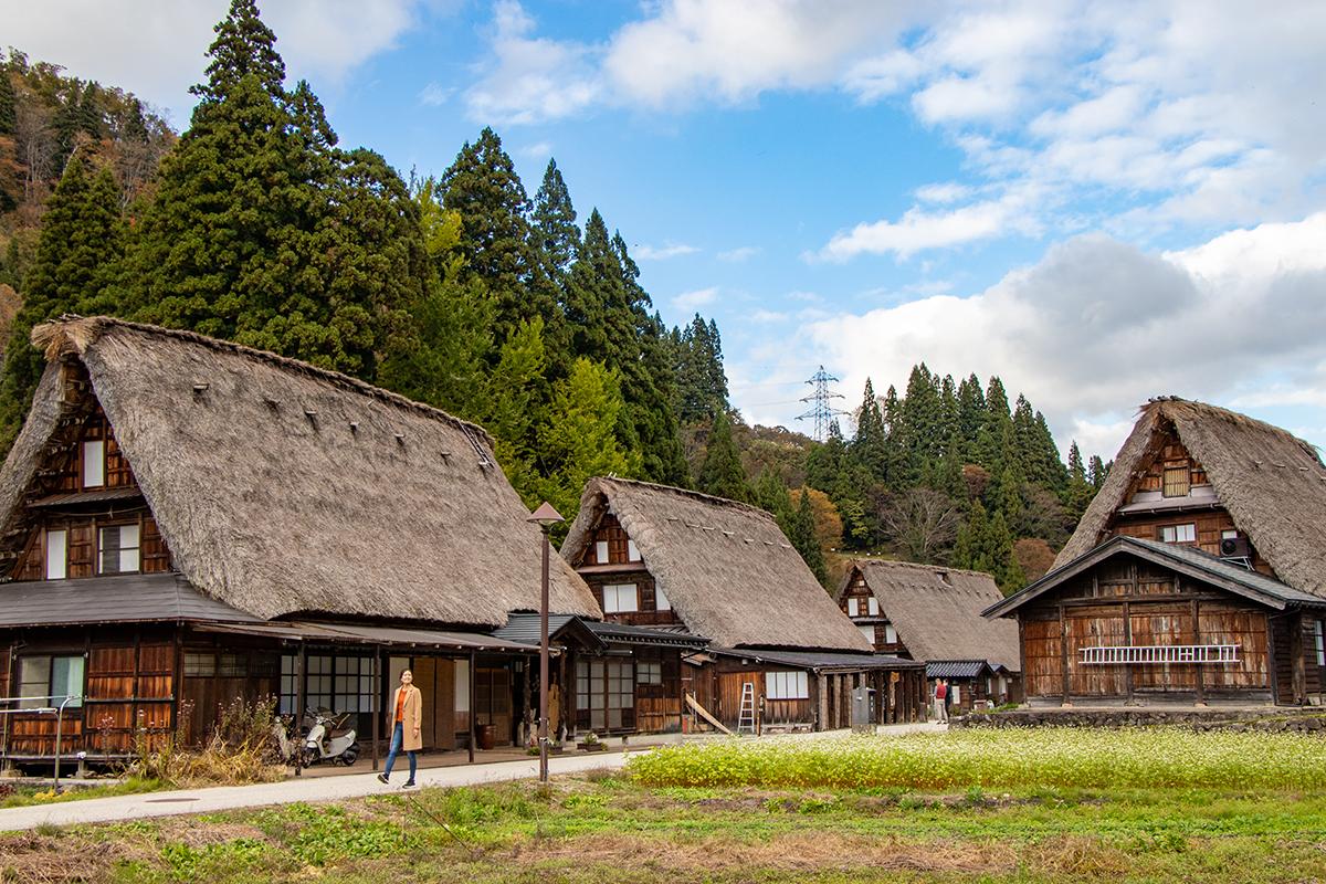 五箇山 相倉 合掌造り集落（宿泊）