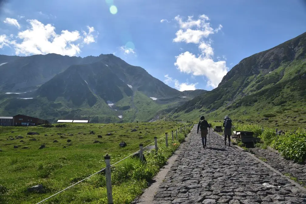 立山の春・夏の絶景を見に行こう！「雷鳥とお花畑」編