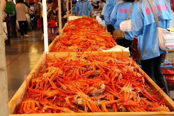 【イベント】まるまる魚津