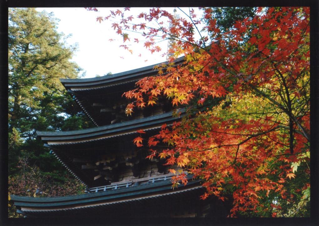 Machozan Kokutaiji Temple, Takaoka City →
