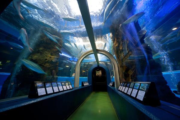 魚津水族館