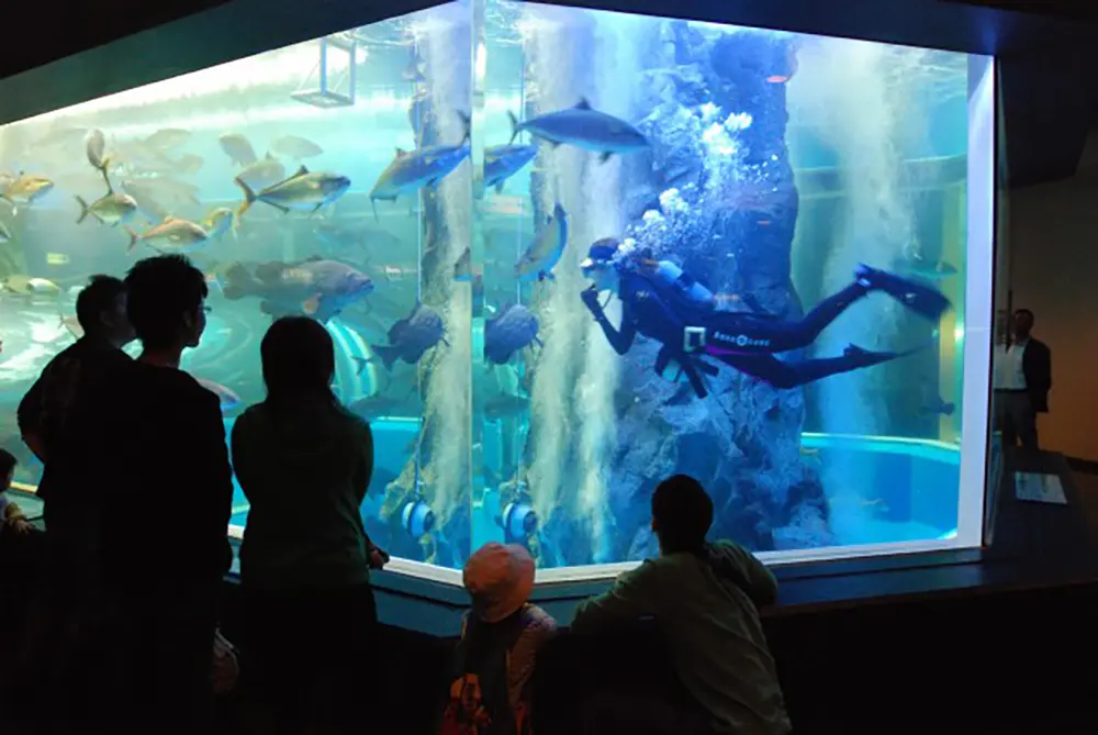 【魚津市】魚津（うおづ）水族館