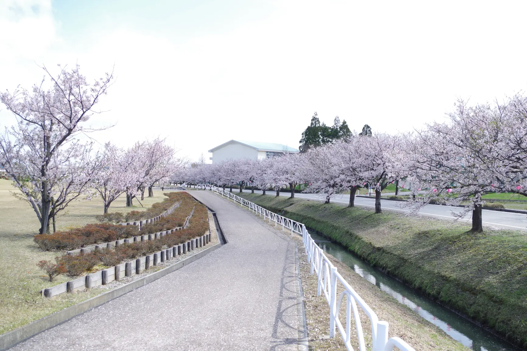 【舟橋村】京坪川（きょうつぼがわ）河川公園