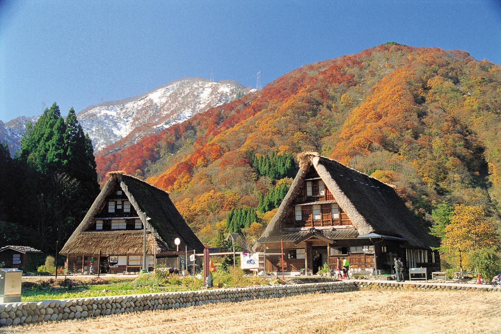 世界遺産 五箇山 菅沼合掌造り集落