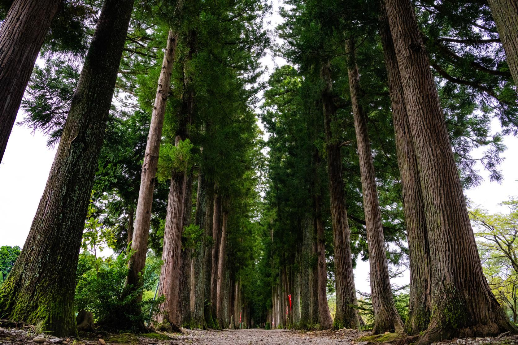 眼目山立山寺（がんもくざんりゅうせんじ）