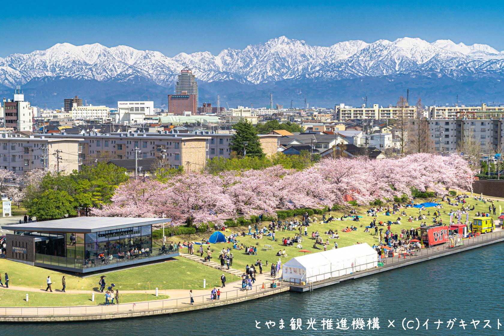 富岩運河環水公園