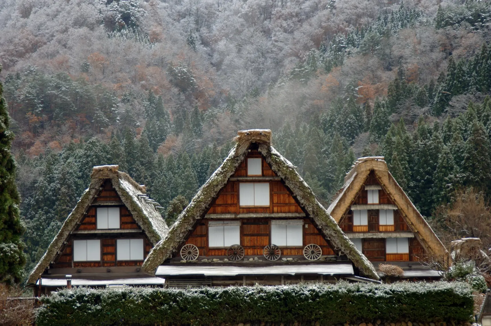 白川村