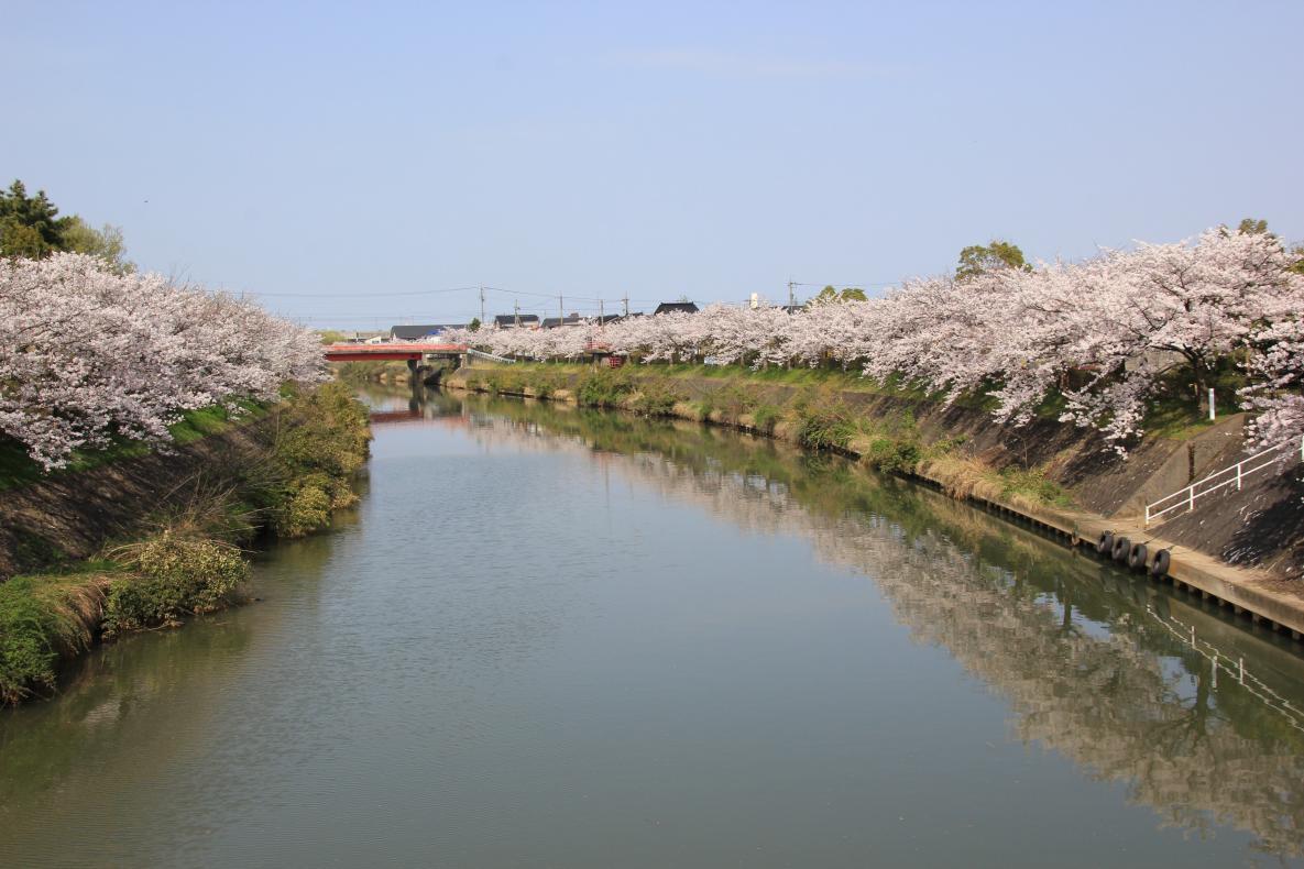 【เมืองอิมิซุ】ริมแม่น้ำเกะโจกาวะ