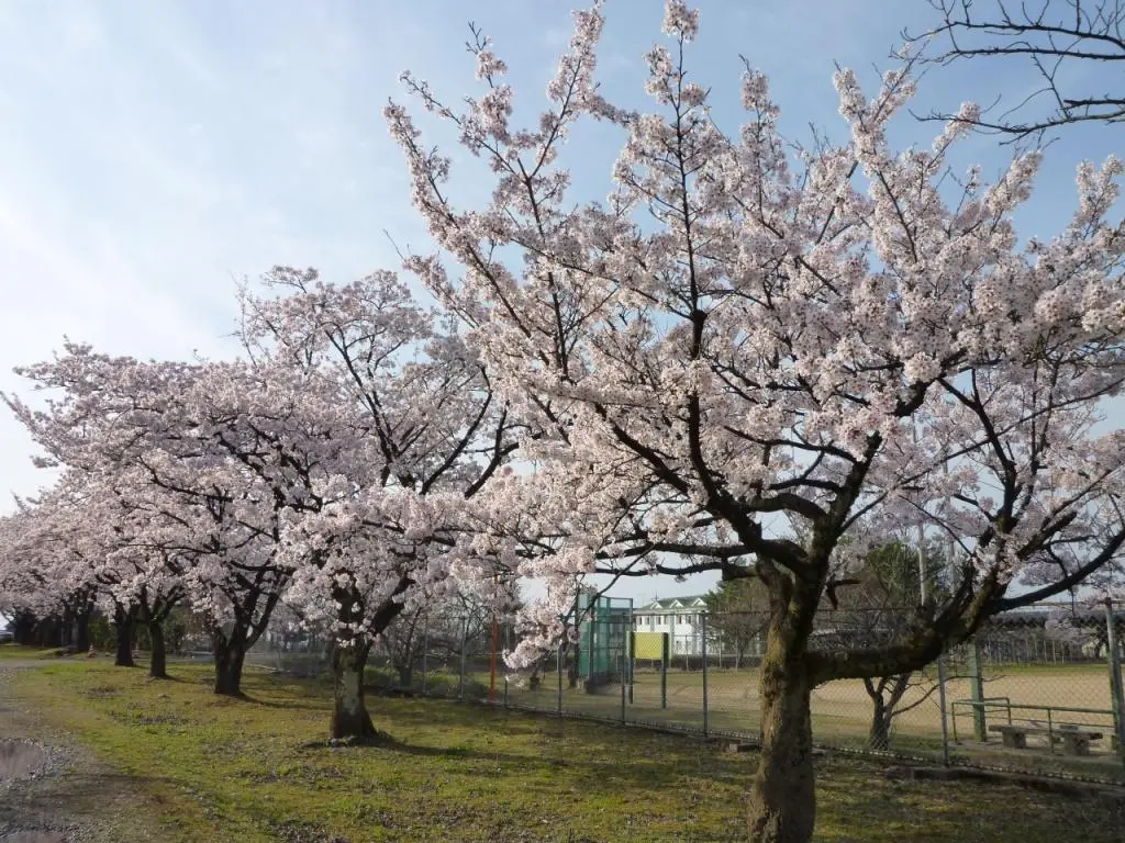 【魚津市】新川學習的森天神山交流館