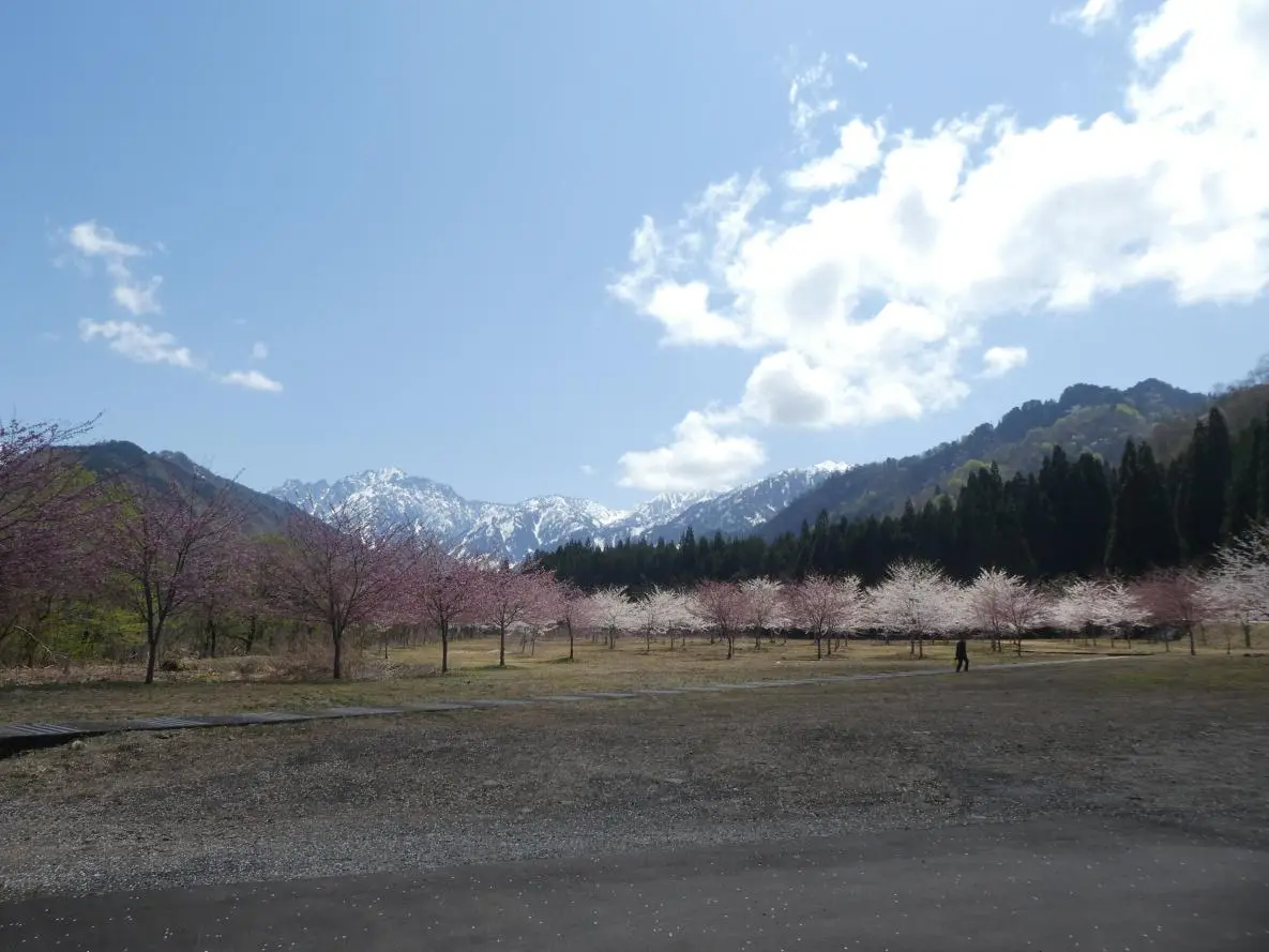 【上市町】伊折橋左岸廣場