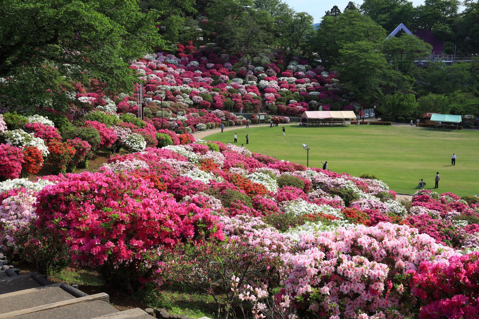 西山公園（福井県）