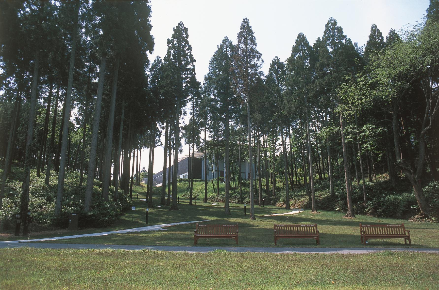 金津創作の森（福井県）