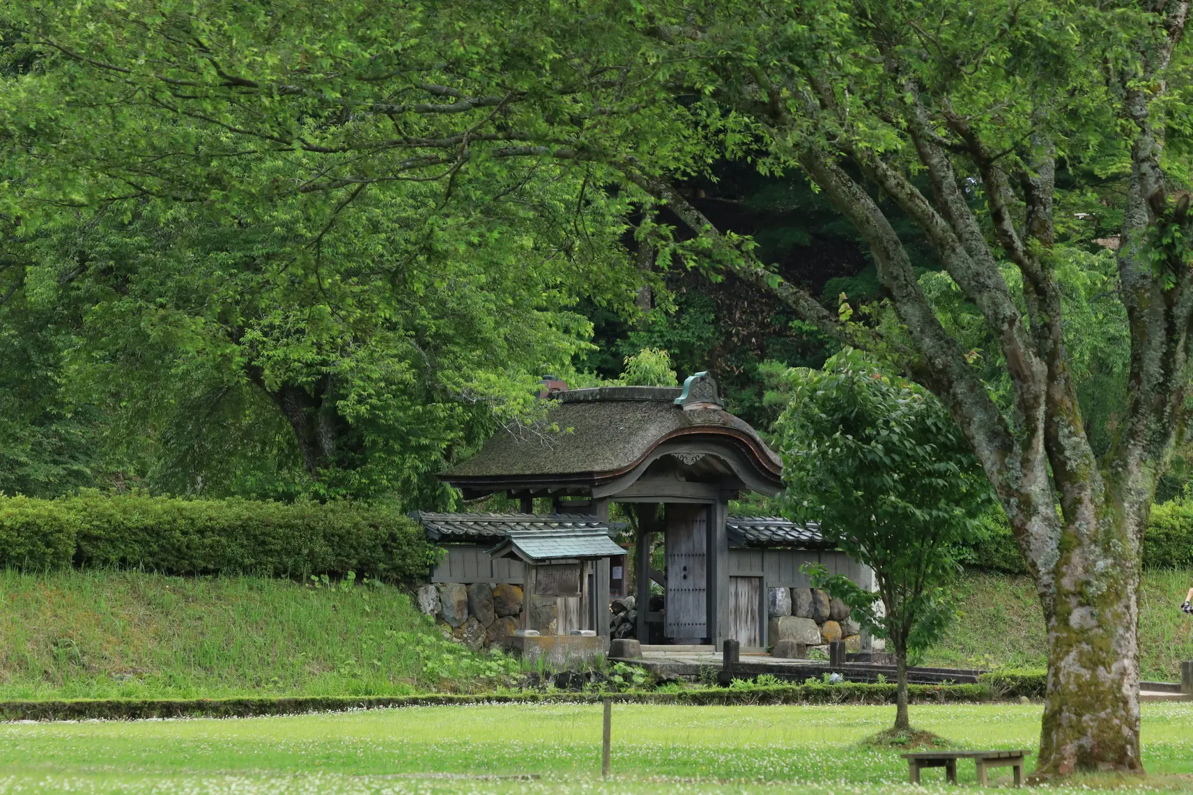 一乗谷朝倉氏遺跡（福井県）