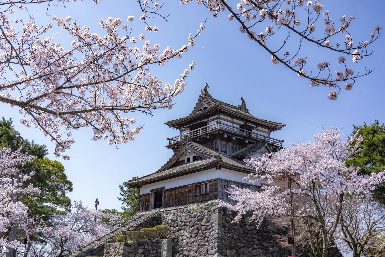丸岡城（福井県）