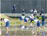宿泊