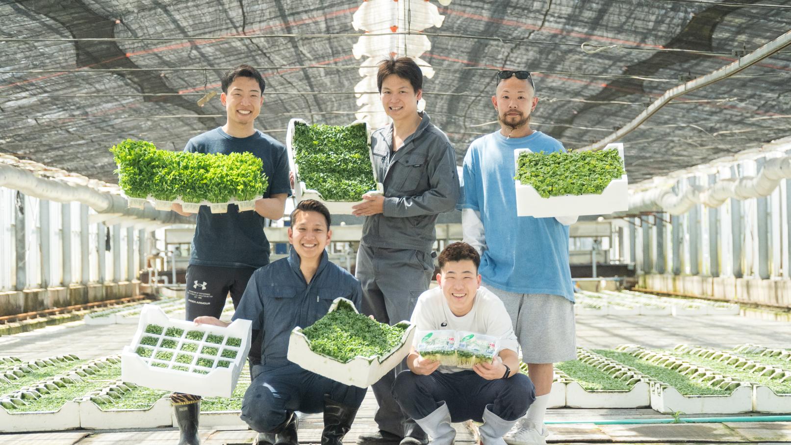 一般社団法人とやまのめ