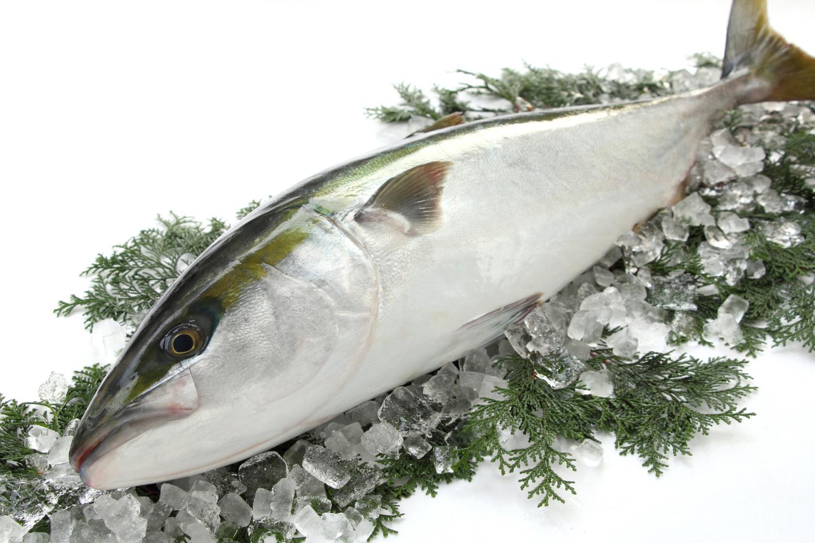 氷見市宿泊体験推進協議会