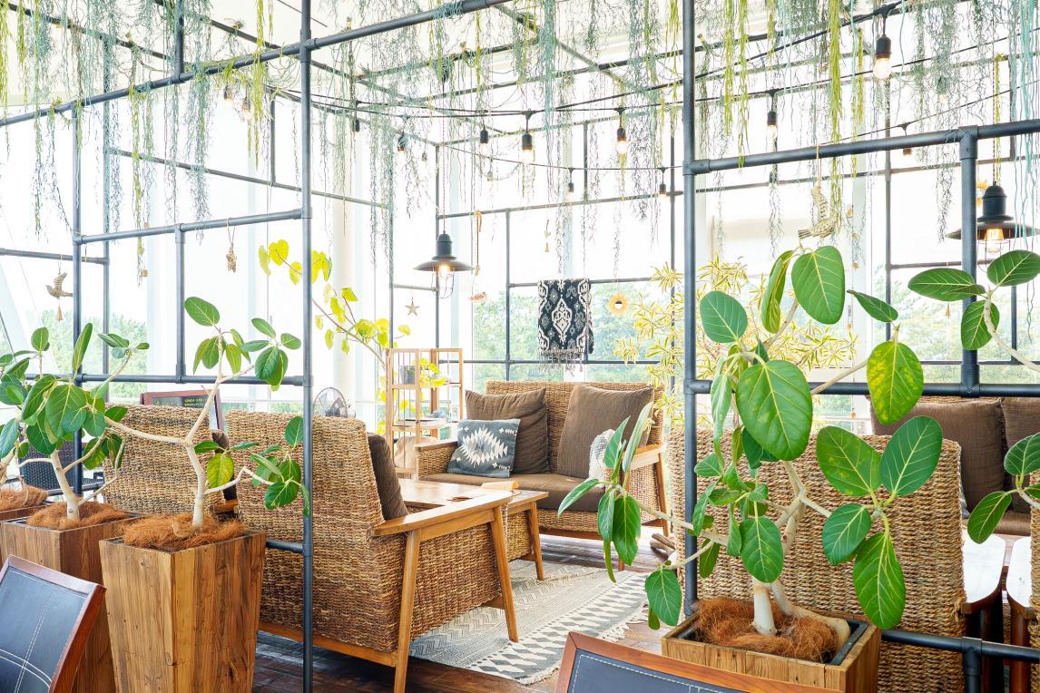 ソラトキ（氷見市海浜植物園シーサイドパーク）