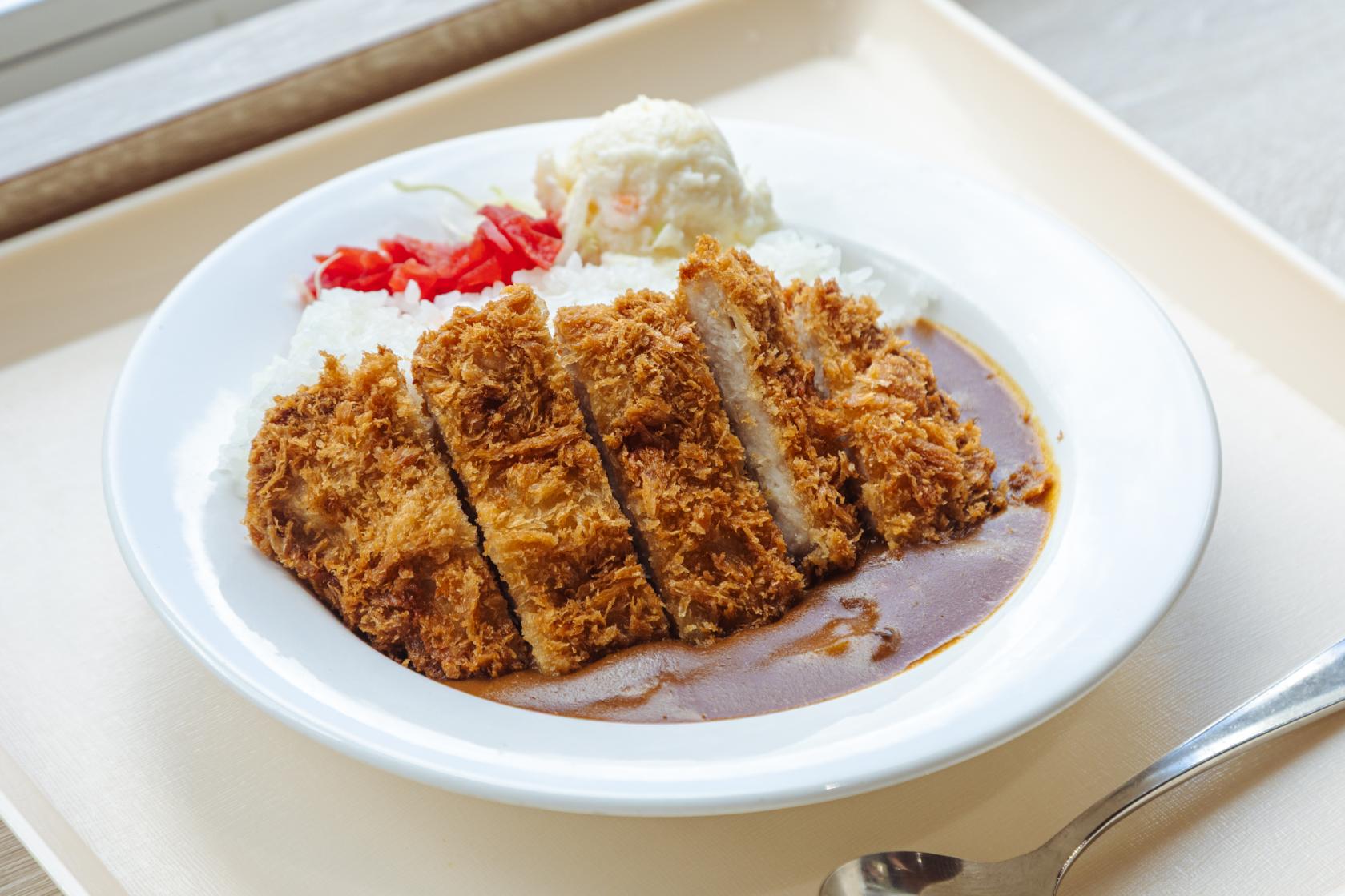 アーチダムカツカレー