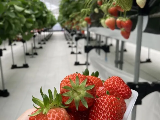 【小矢部市】宇川農産