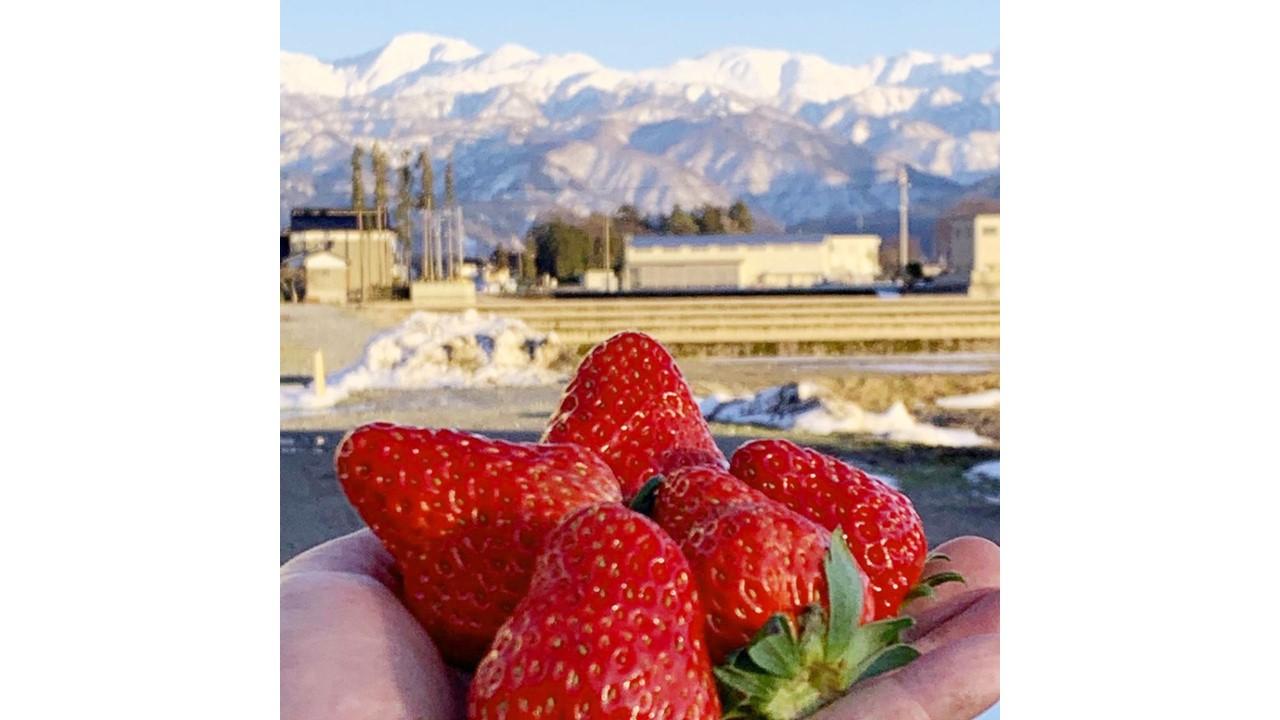 【黒部市】グリーンビジネス橋本