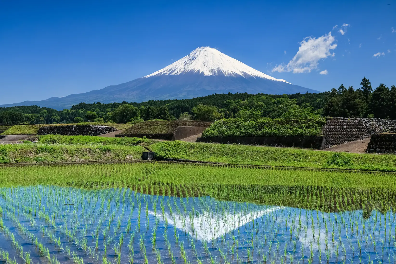 静岡県の情報はこちらから↓