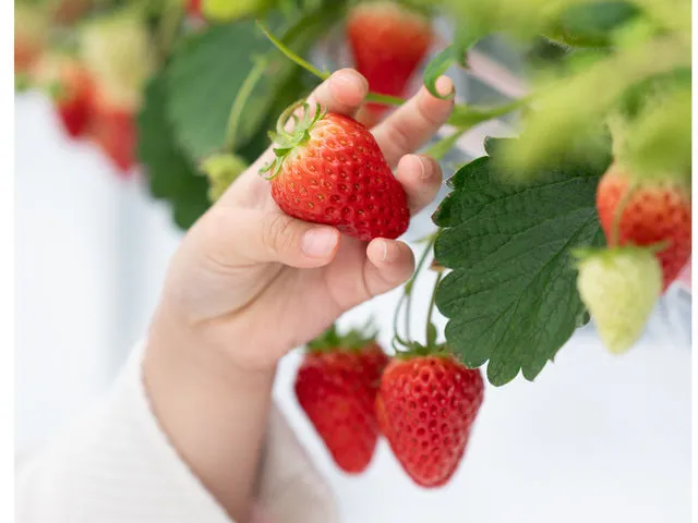 【砺波市】ミズキファーム一御縁