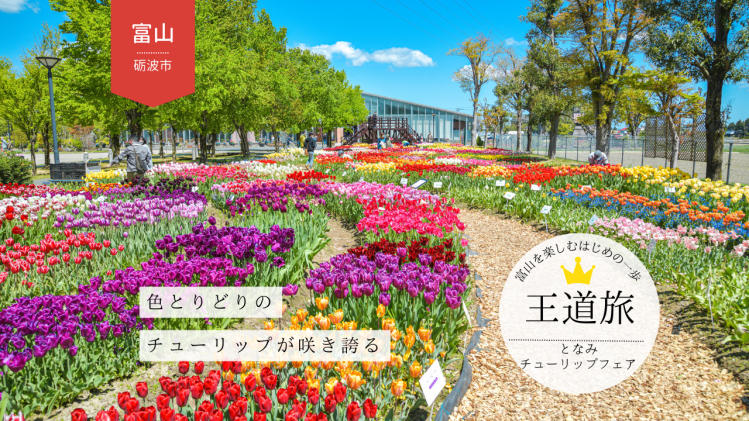 となみチューリップフェア