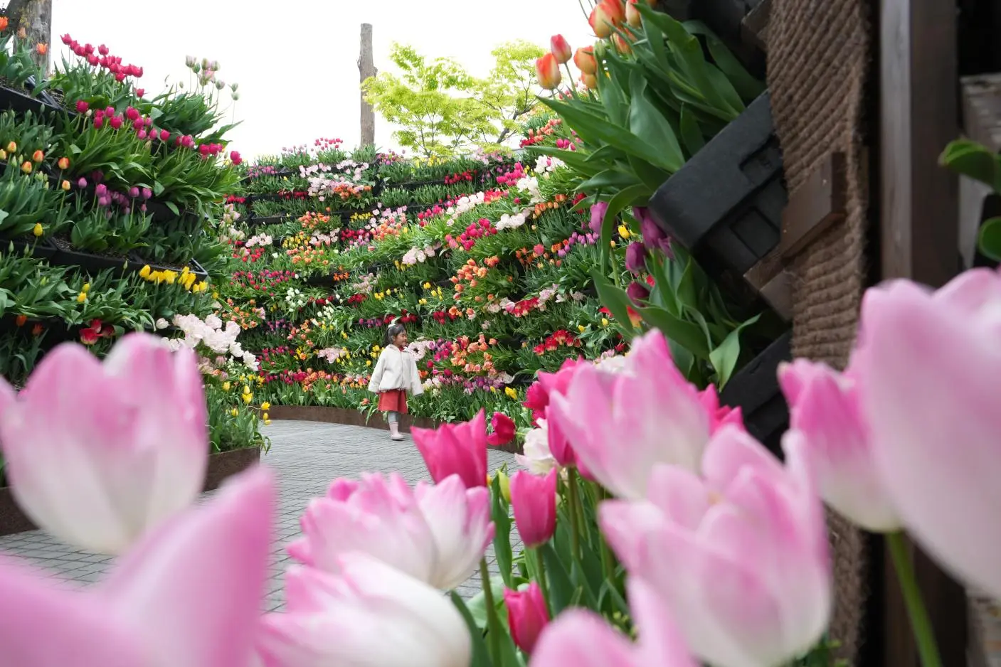 花の大谷