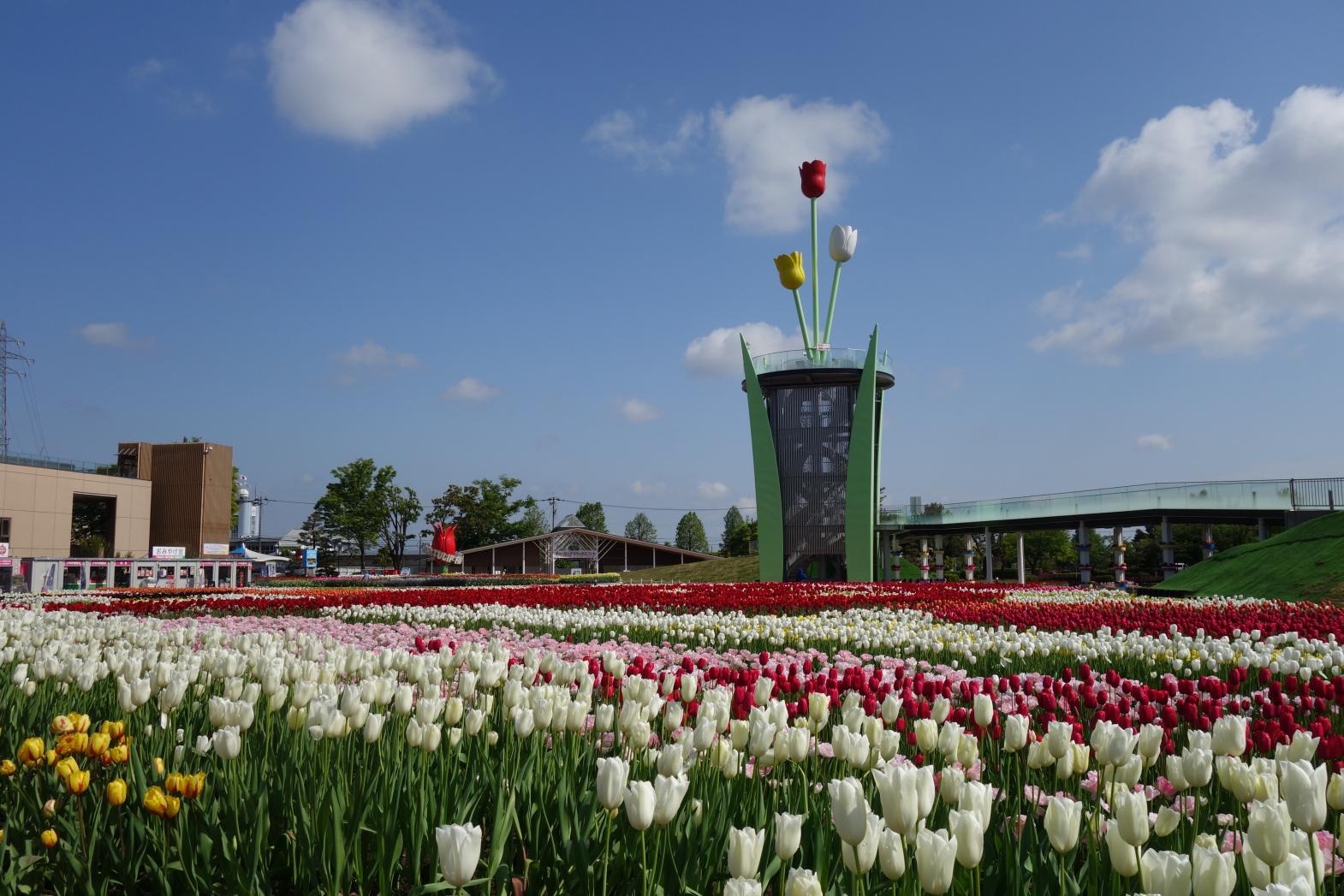 チューリップタワー