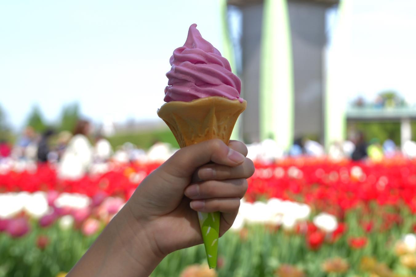 チューリップソフト