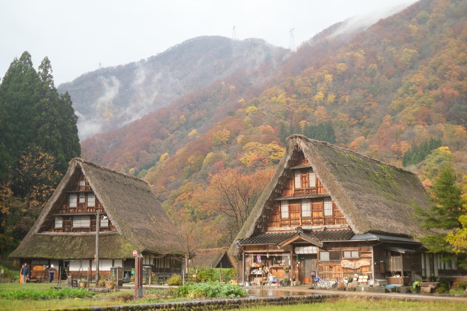 絶対行きたい!富山のおすすめ絶景紅葉名所をご紹介 | 特集 | 【公式】富山県の観光/旅行サイト「とやま観光ナビ」