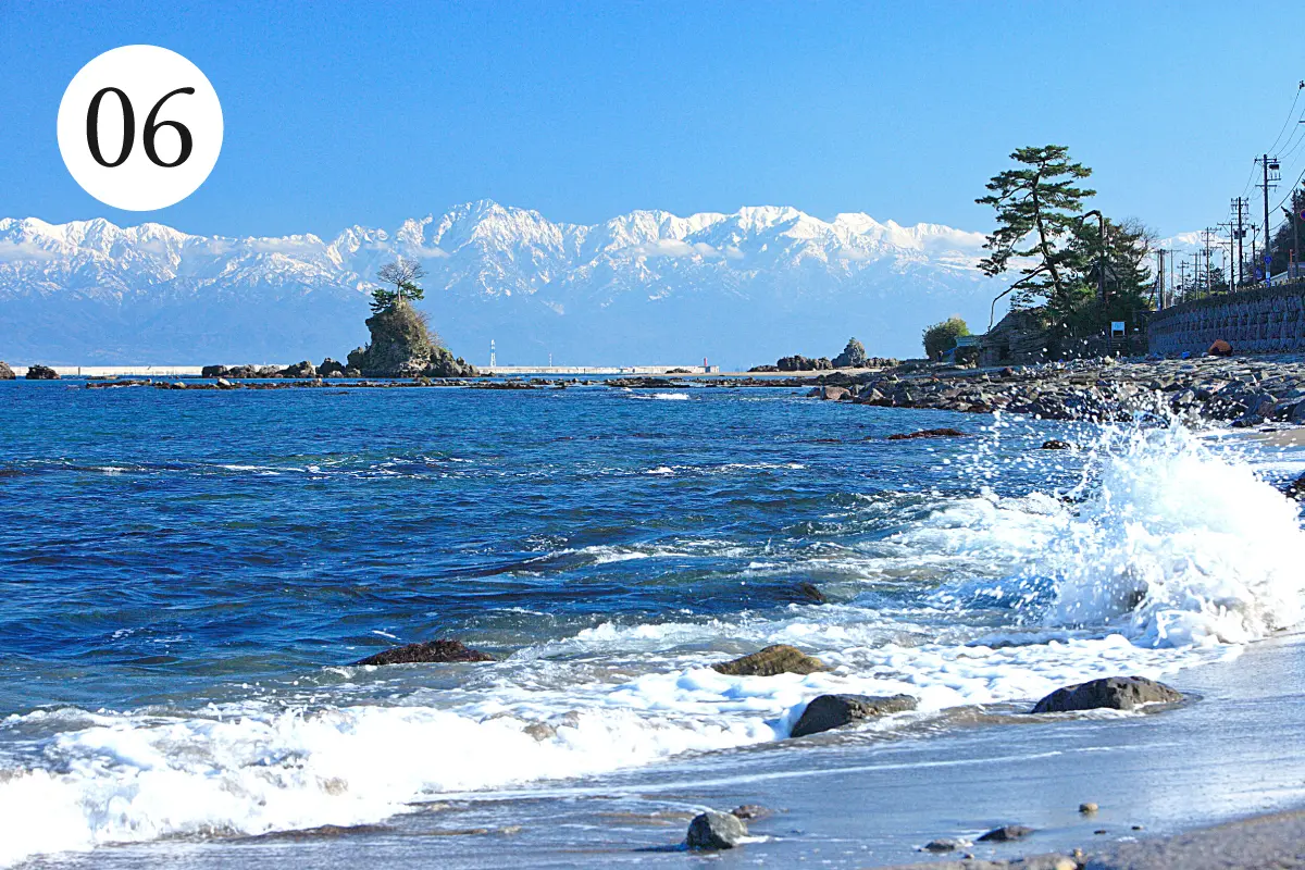 イイトコドリのThe富山旅