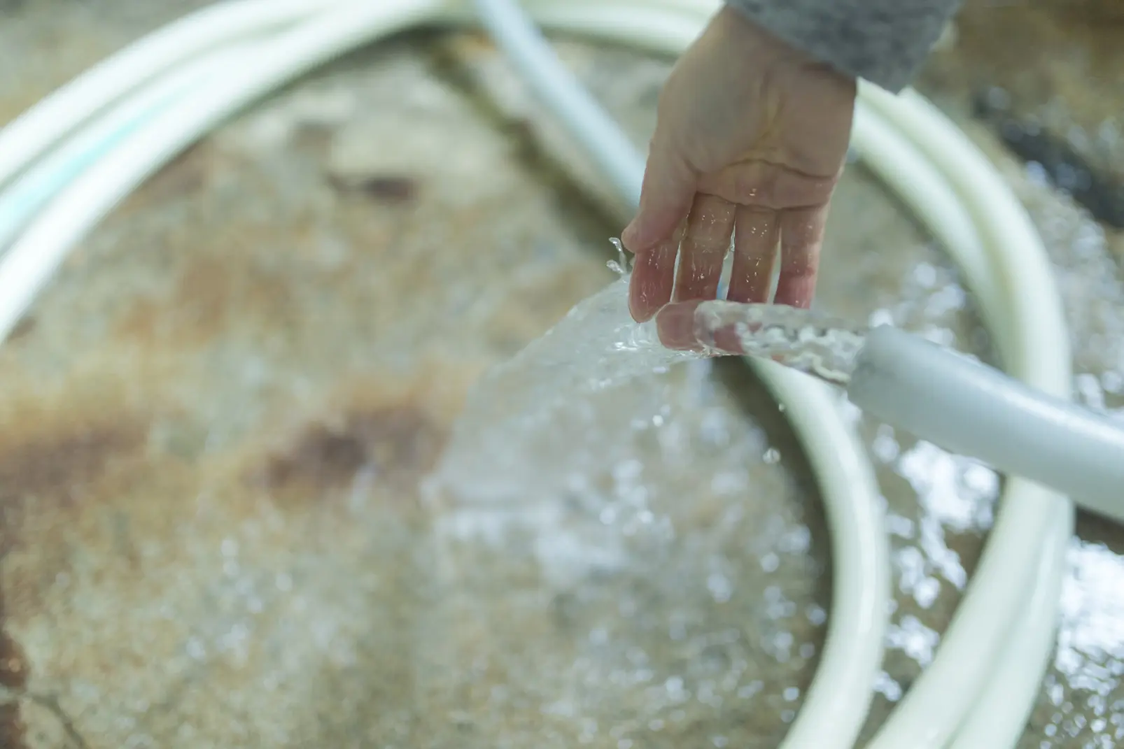 【皇国晴酒造】湧水を生かし、地元の食に合う酒を造る-5