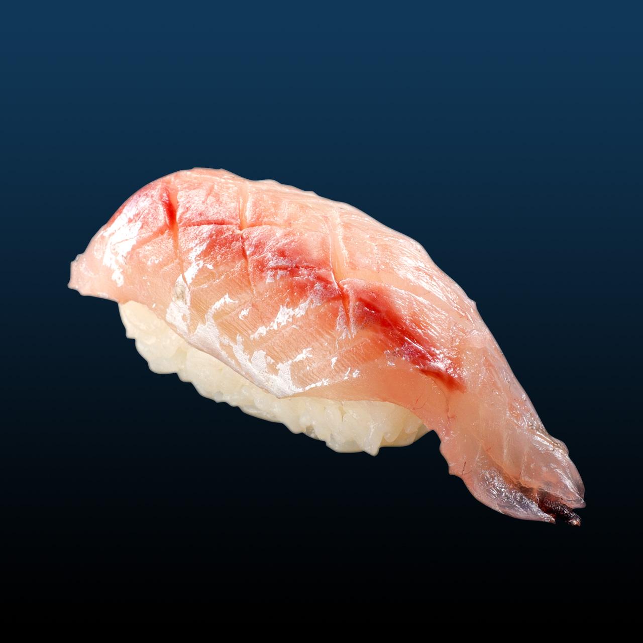 11月のすしネタ②｜アカカマス-0