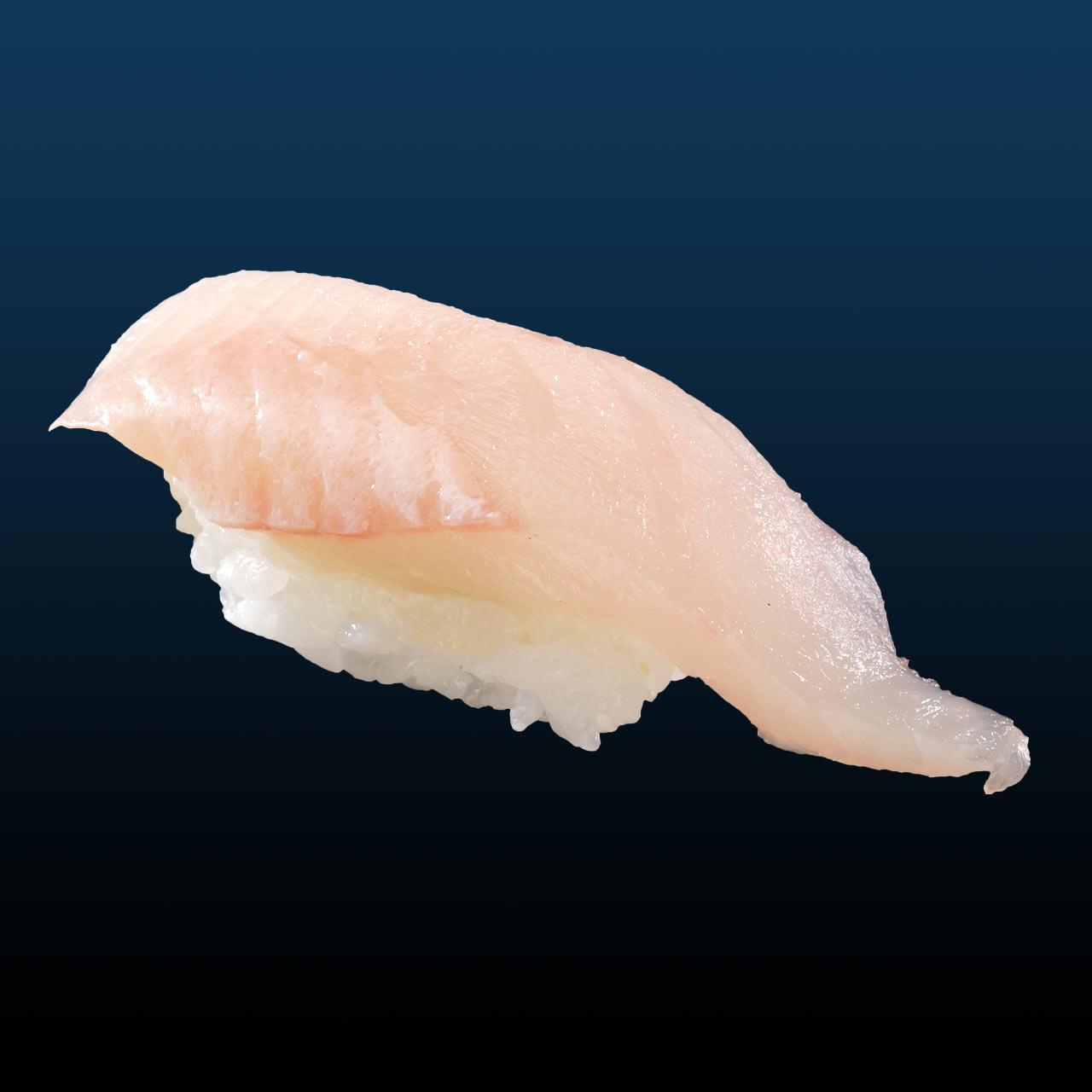 ３月のすしネタ③｜アイナメ-0