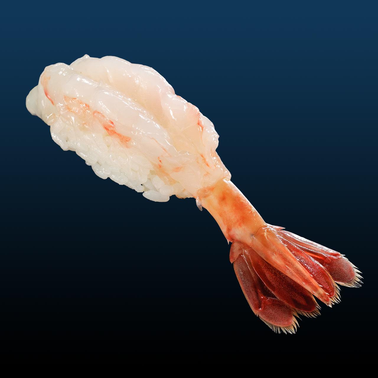 ７月のすしネタ③｜トヤマエビ-0