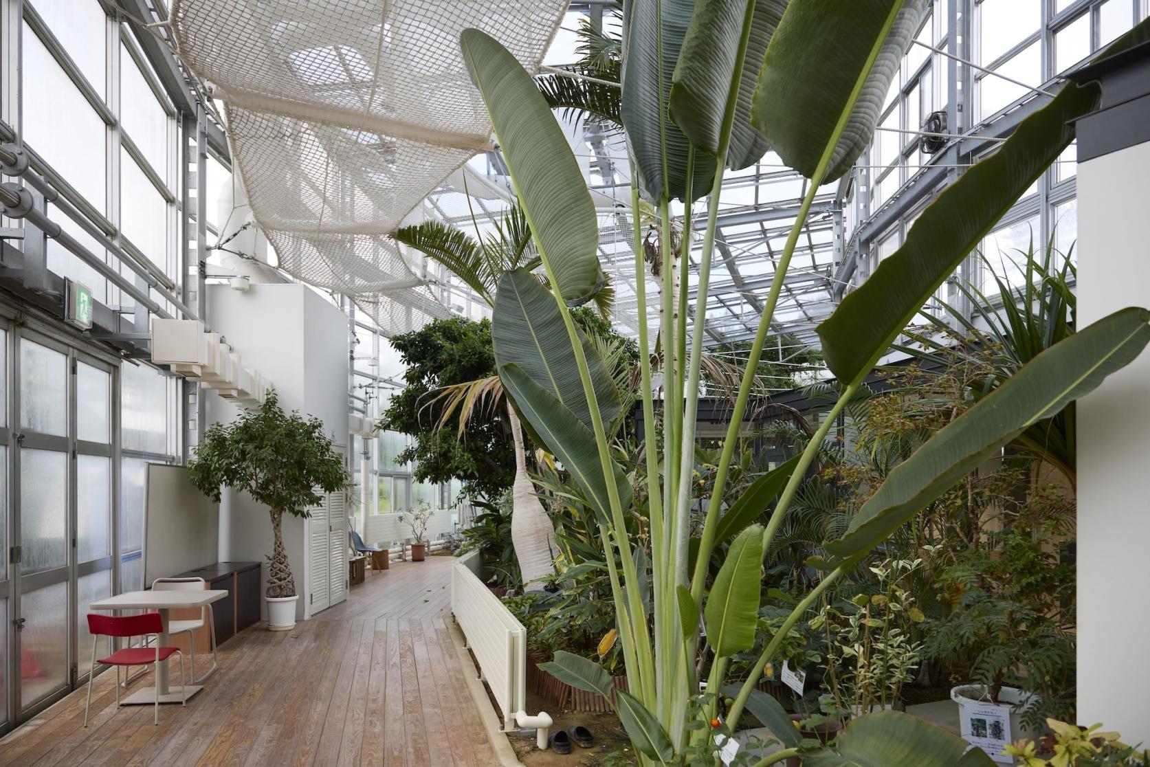 氷見市海浜植物園 【氷見市】-1