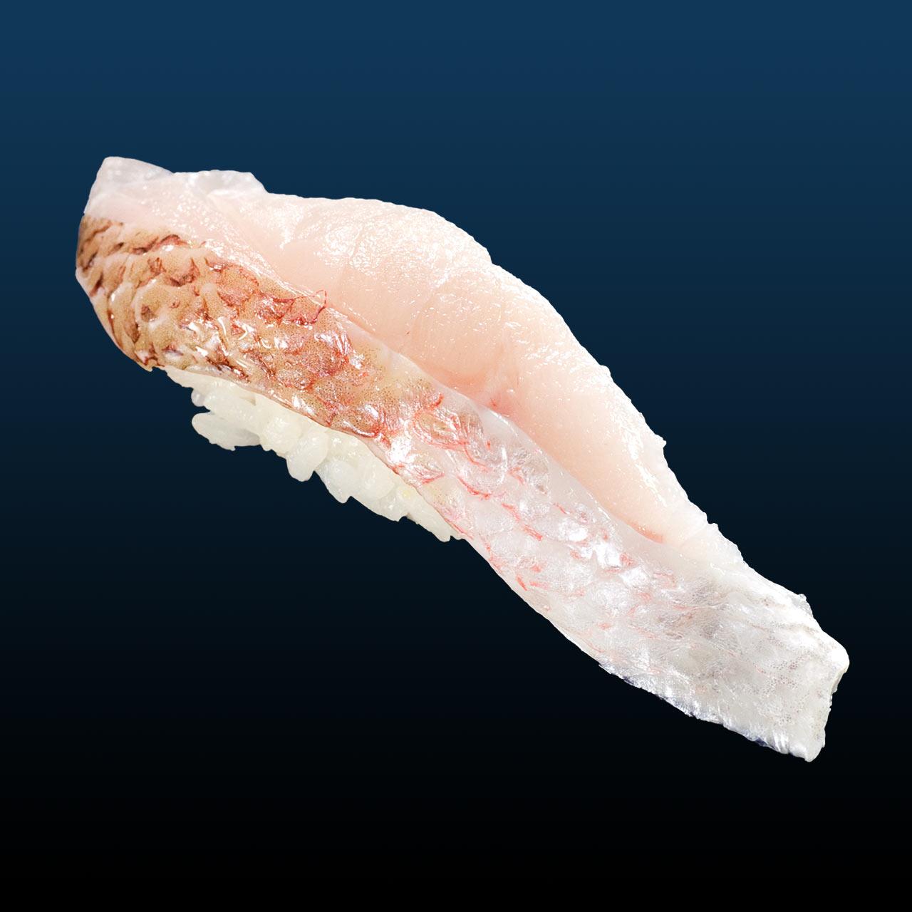 ８月のすしネタ①｜ノドグロ-0