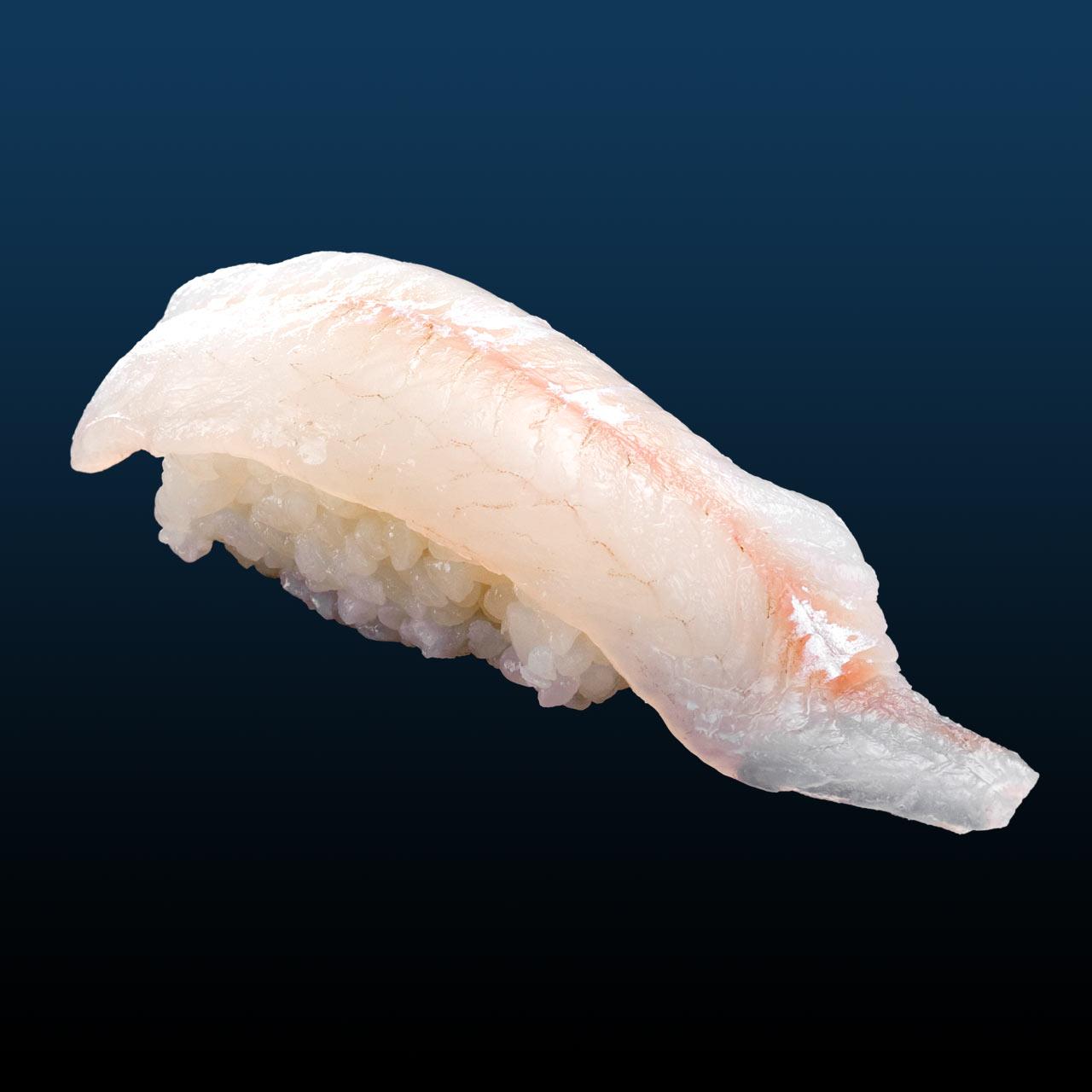 ８月のすしネタ③｜シロギス-0