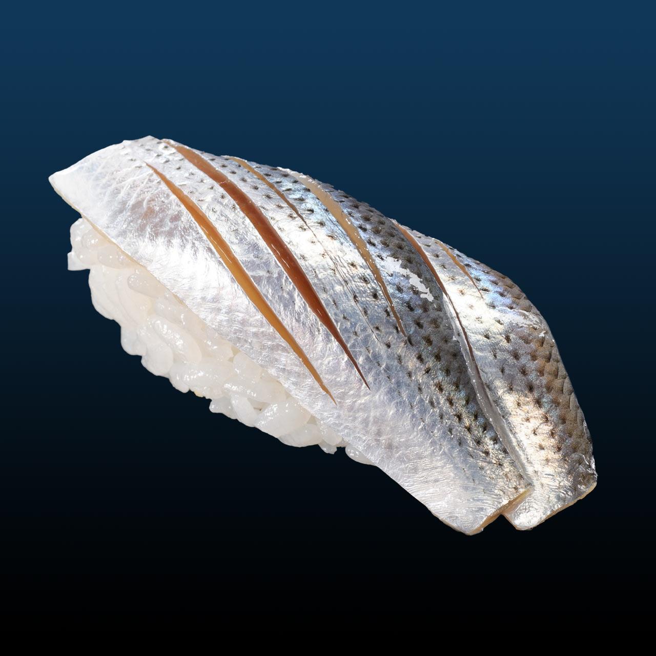 ９月のすしネタ③｜コハダ-0