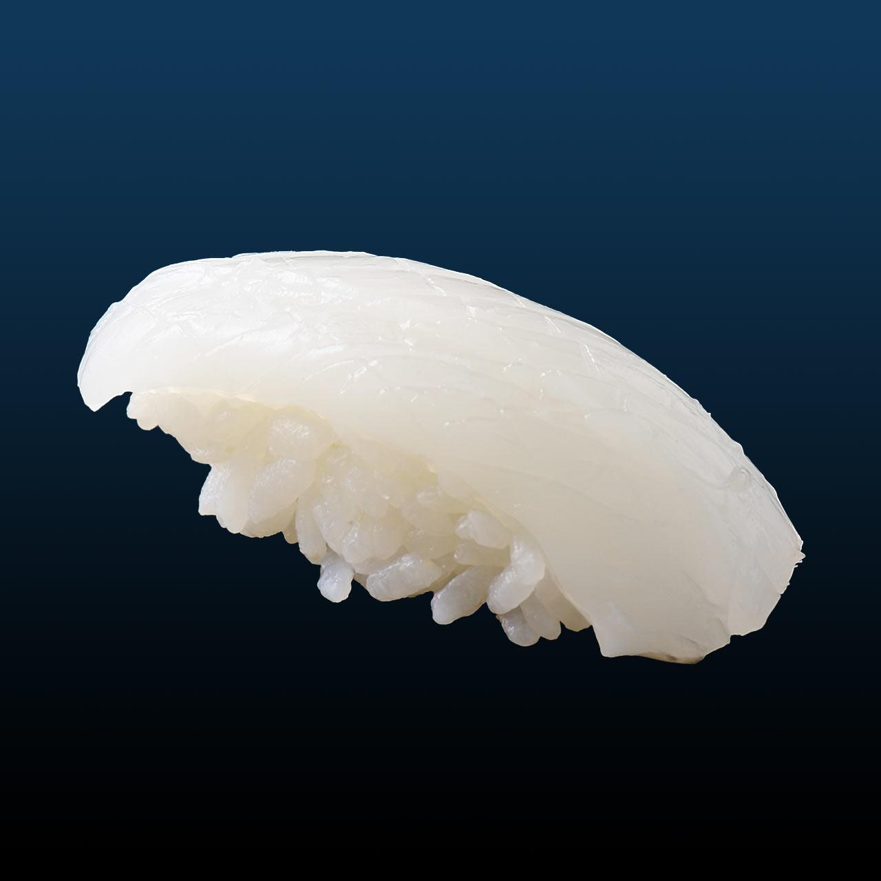 10月のすしネタ③｜アオリイカ-0