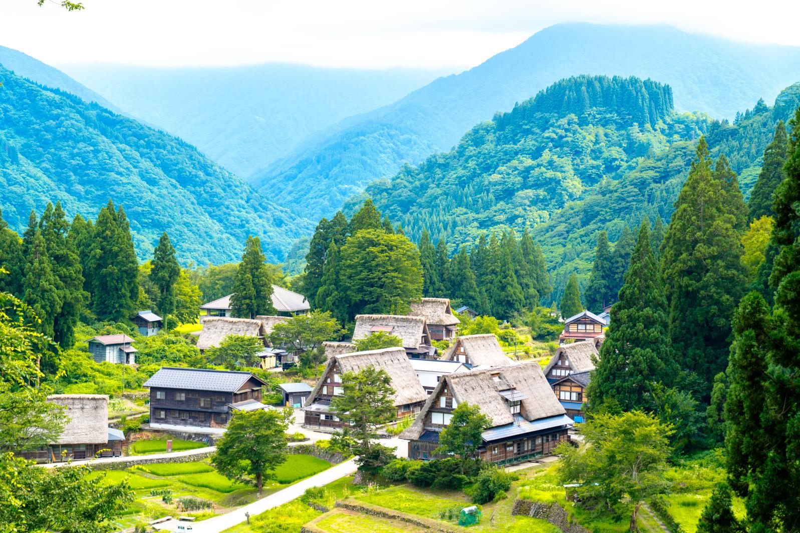 아이노쿠라 갓쇼즈쿠리 마을-1