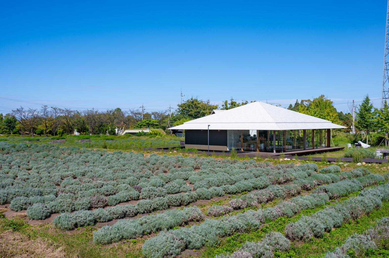 【Healthian-wood｜ヘルジアンウッド】立山連峰に抱かれるハーブリトリート-0