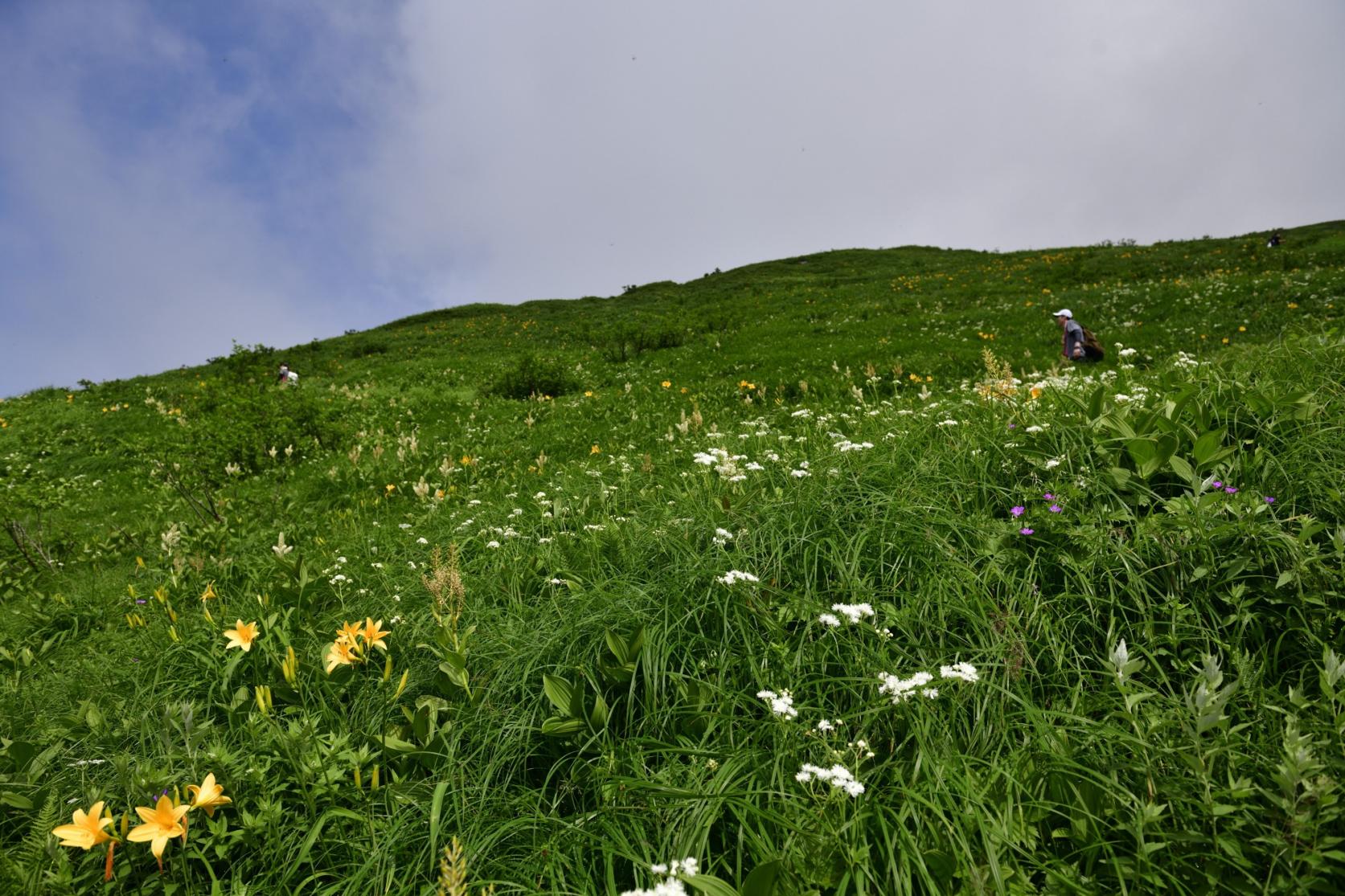 하쿠산에 대하여-1