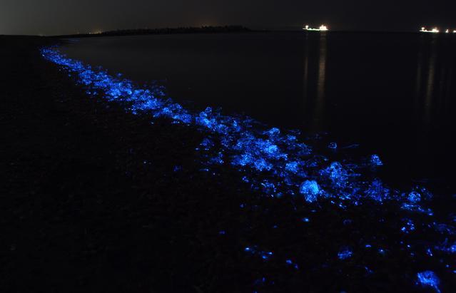 신비의 바다・도야마만의 환상적인 아름다움-1