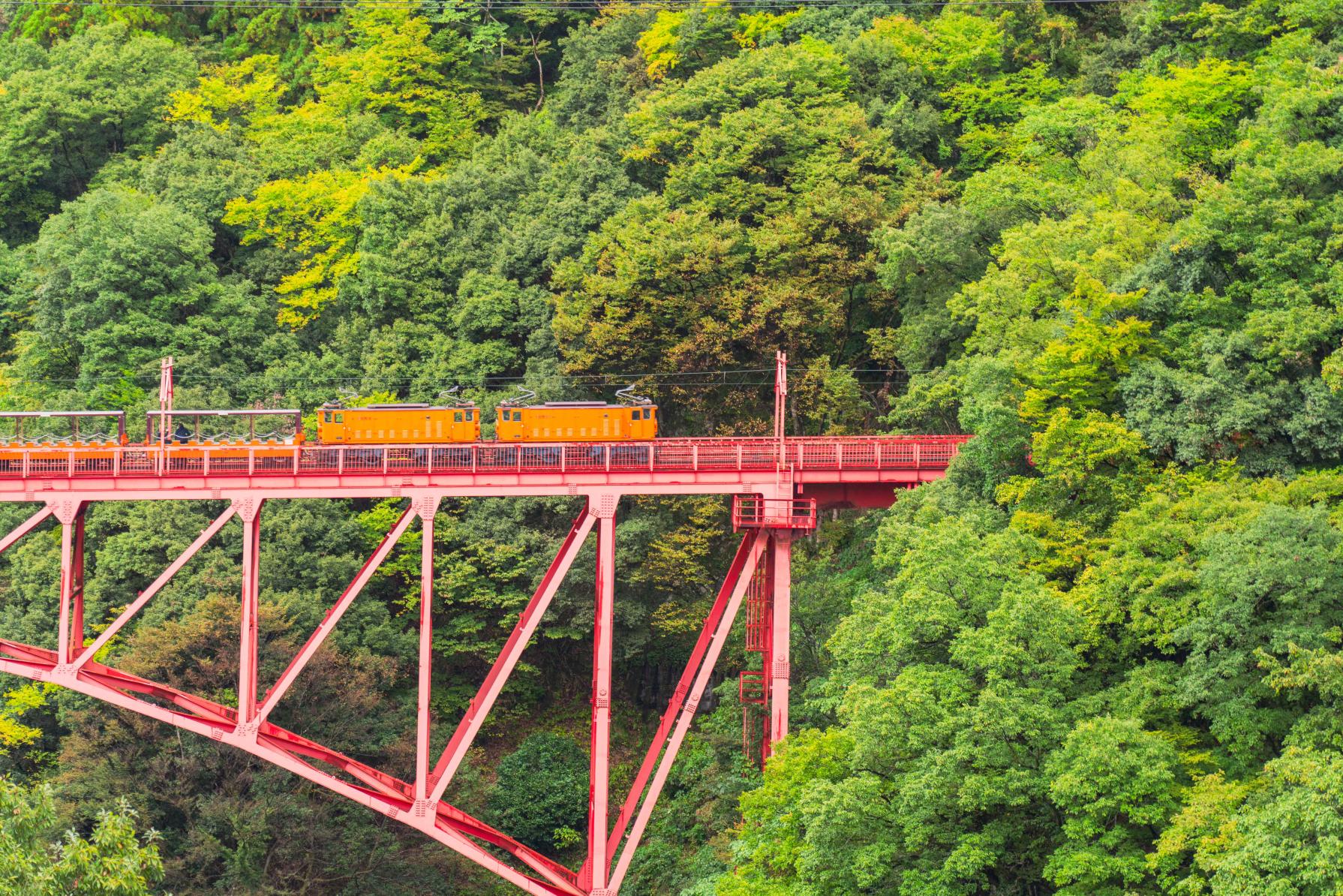 우나즈키 온천·호텔 구로베(구로베)-1