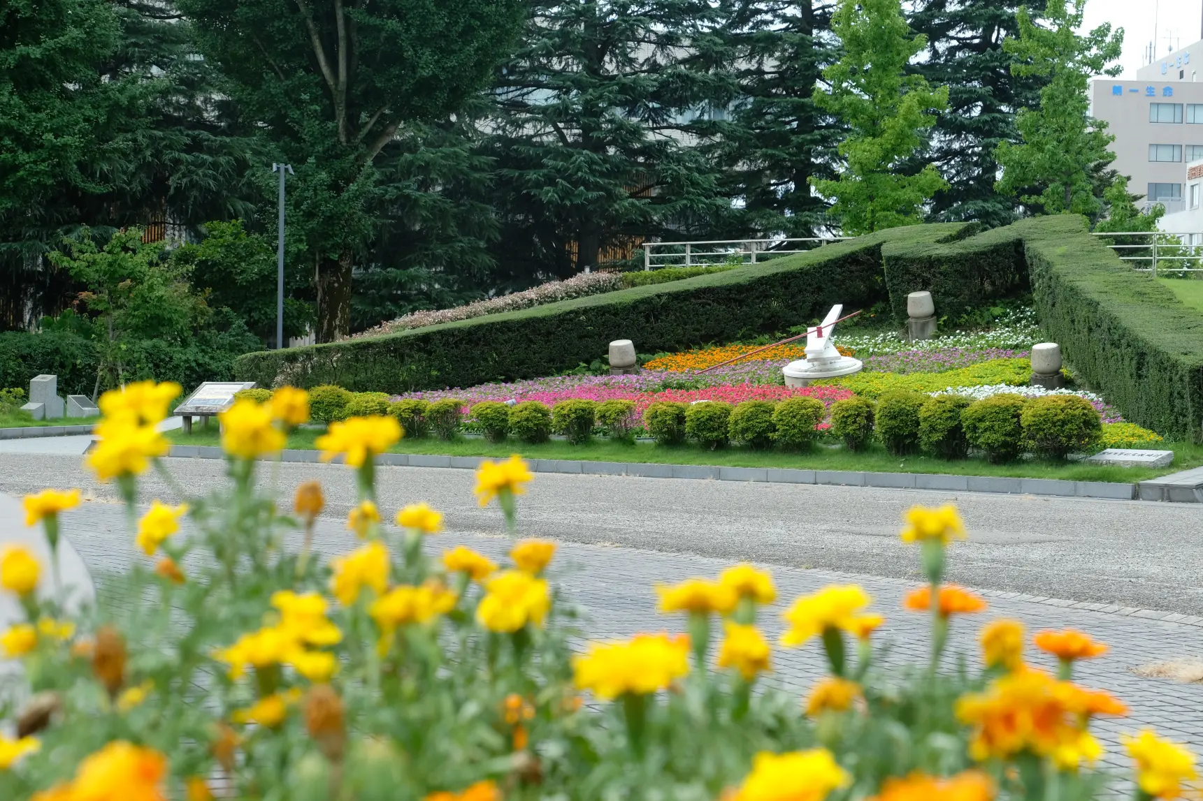 待ち合わせ場所（噴水公園）-1