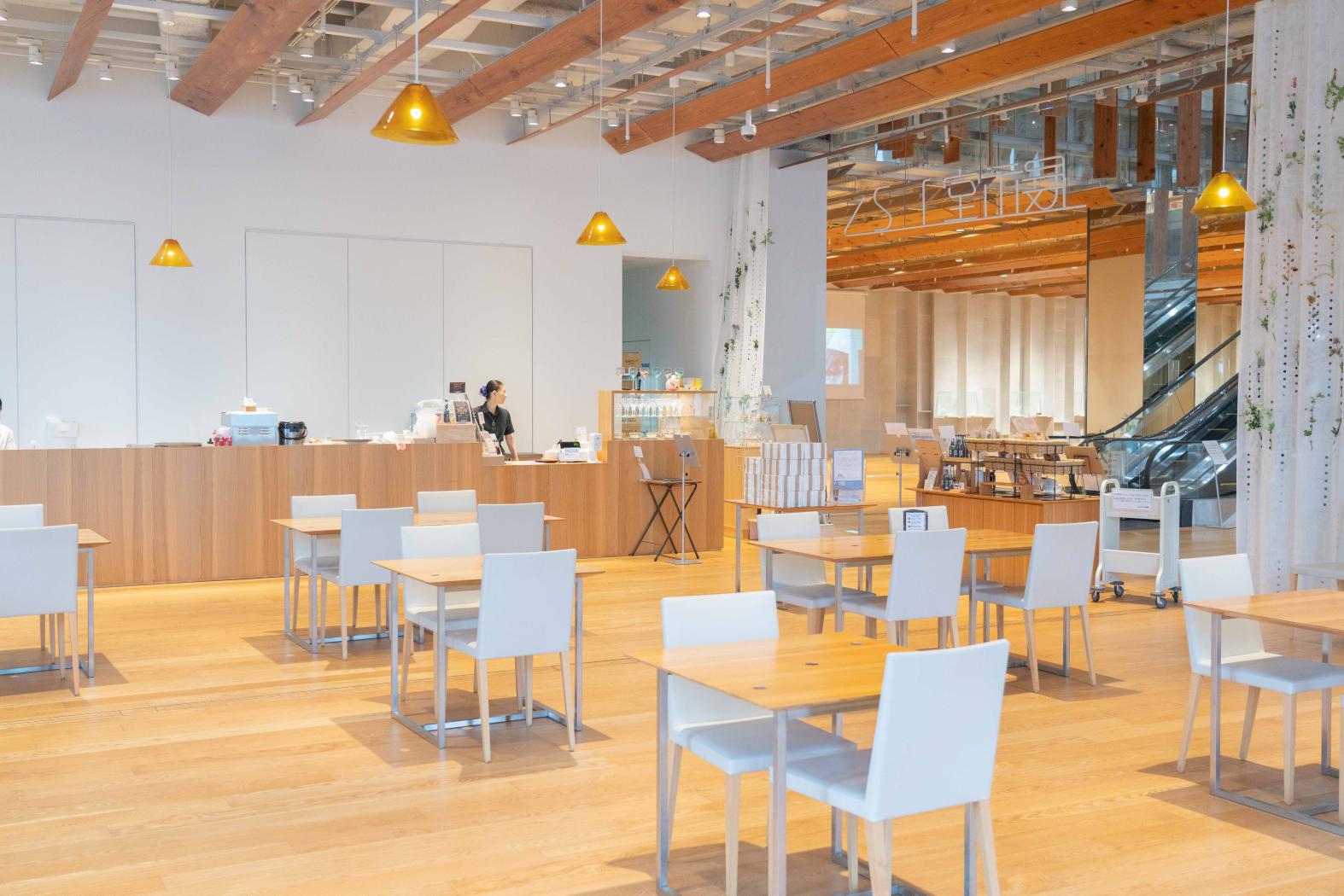 A Pause Between Light and Flavor: Café Kouma Kirari-0